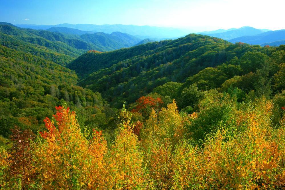 A Charming Cabin, Pool, Firepit, Hot Tub-Jacuzzi Gatlinburg Eksteriør billede